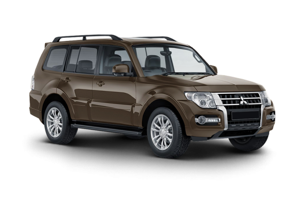 Mitsubishi Pajero Коричневый